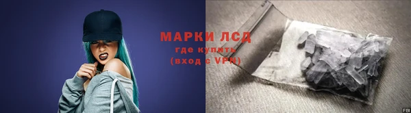 сатива Балахна