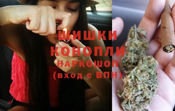сатива Балахна