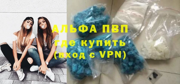 сатива Балахна