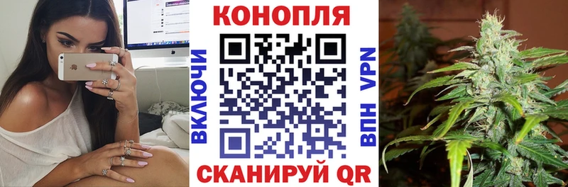 Каннабис SATIVA & INDICA Гороховец